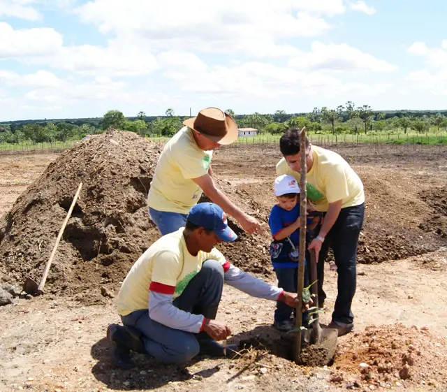 Ceará Renewable Energy Project
